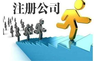 專業代理記賬收費與翻譯服務指南